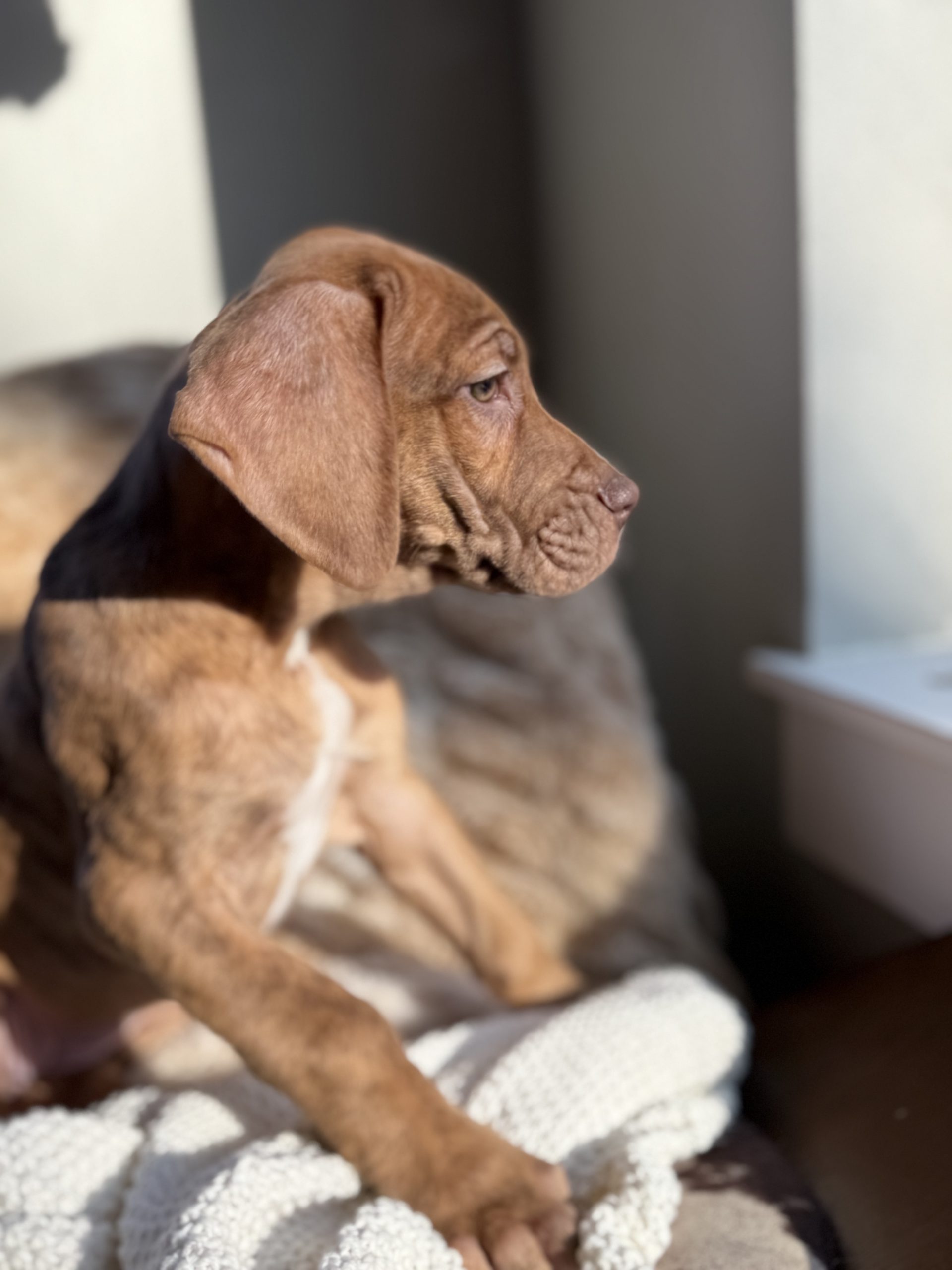 Photo Jan 01 2025, 10 04 57 AM