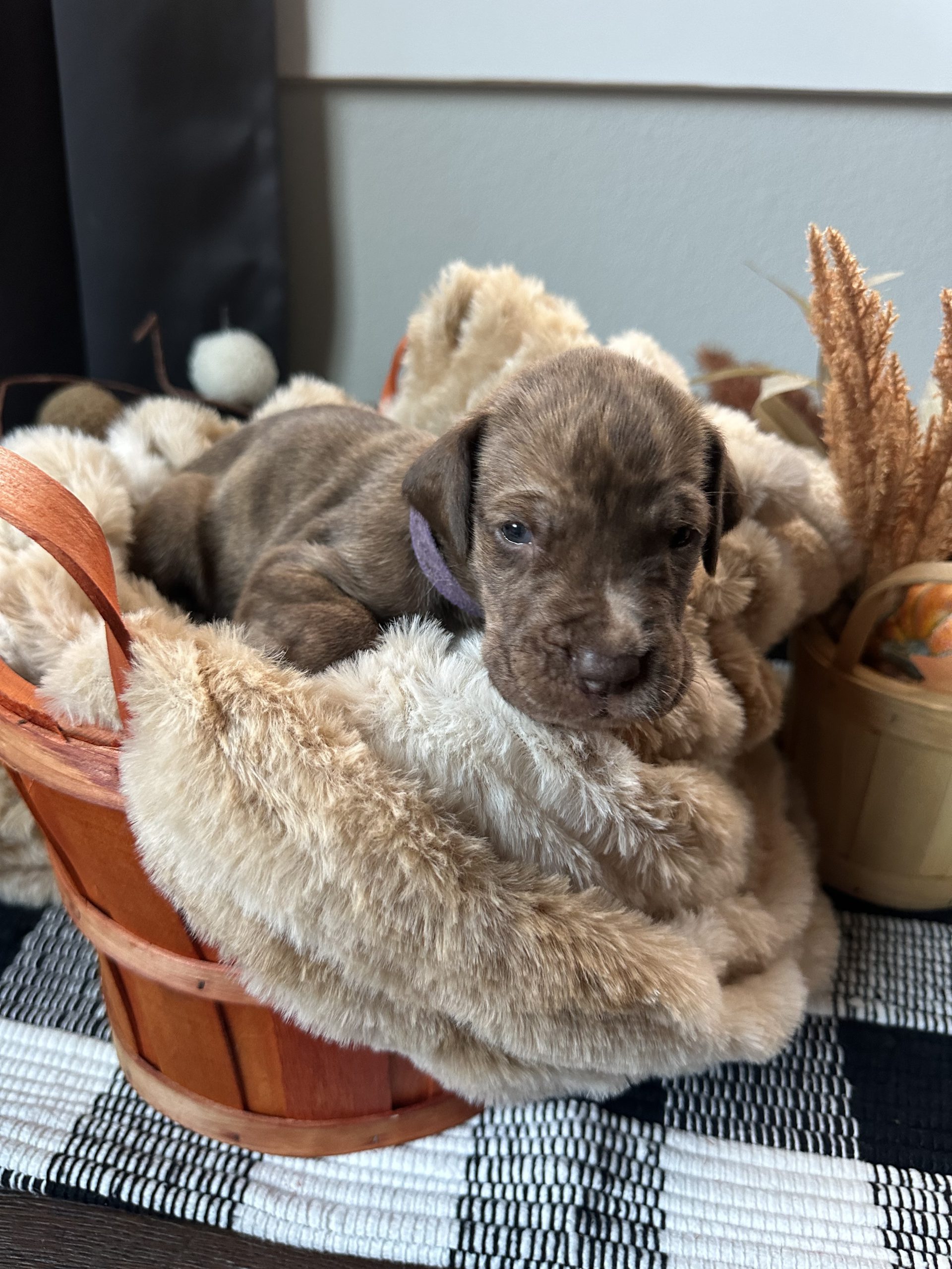 Photo Nov 21 2024, 4 29 01 PM